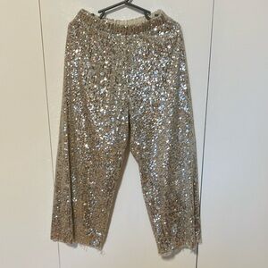 Zara Sequin Pants